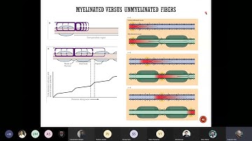 Lecture3, Neural Signal Processing Course (NS212), IISc Bangalore.