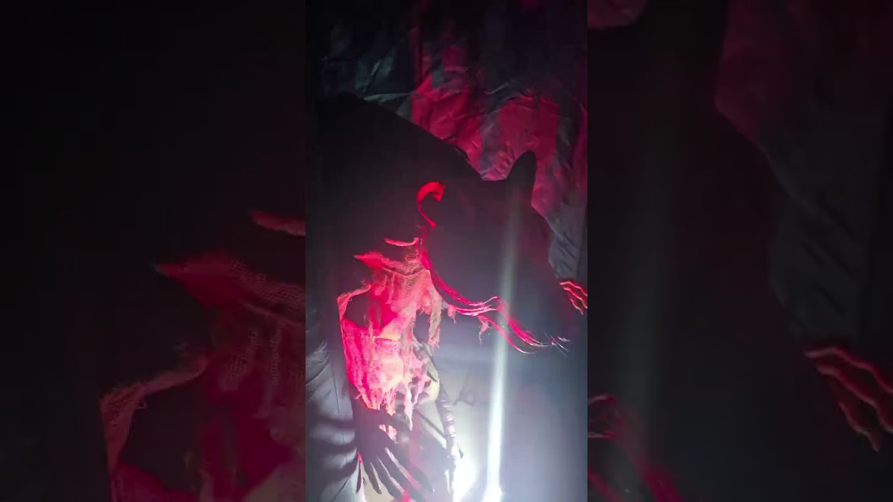 “Enter the darkness if you dare — every corner whispers your name. 🌫️⚰️ 