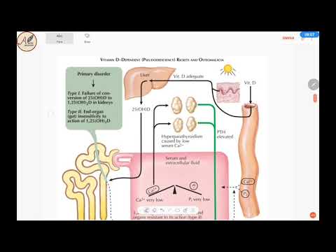 Video: Vitamin D, Mikrobiota Usus, Dan Rintangan Berkaitan Sinaran: Segitiga Cinta Yang Membenci