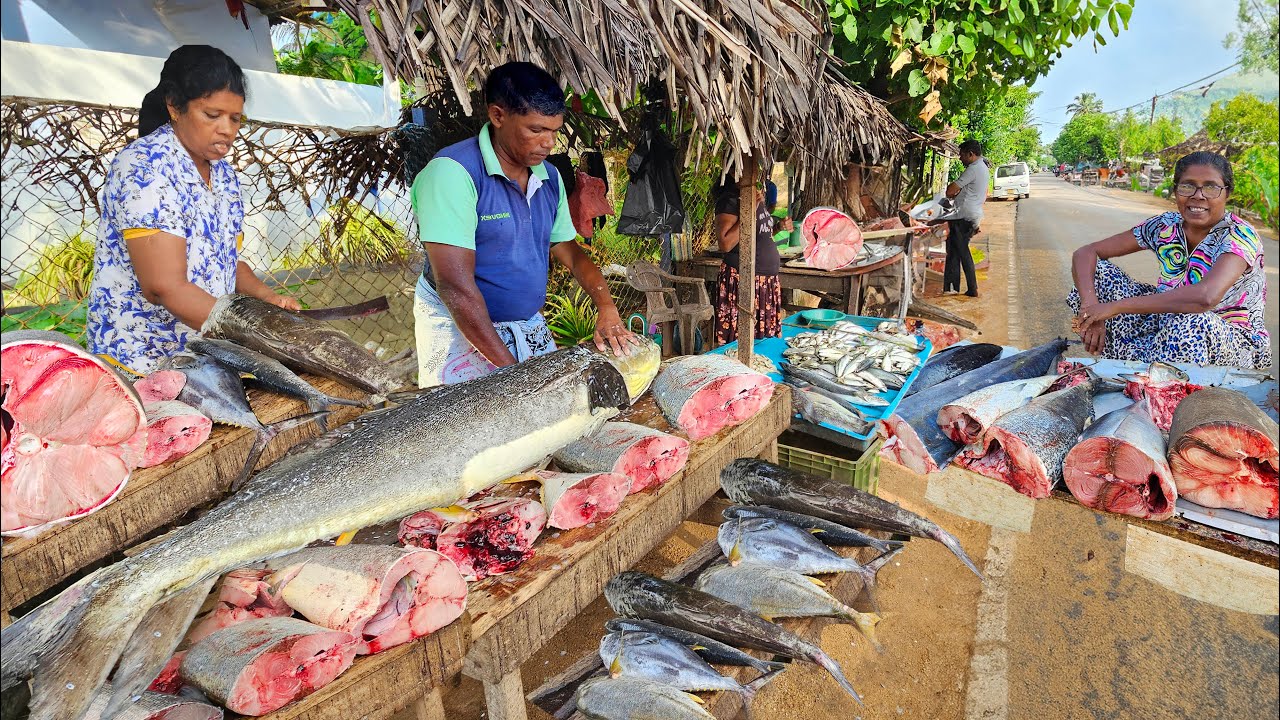 Amazing!! Paradise Village Beautiful Street Fish Markets Life Of Fisherman's