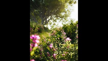 Fstorm rendering - The road brings me back to my childhood memories - Full CGI