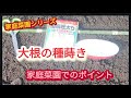 【大根の種蒔き】最大のポイントは畝幅です【家庭菜園シリーズ】