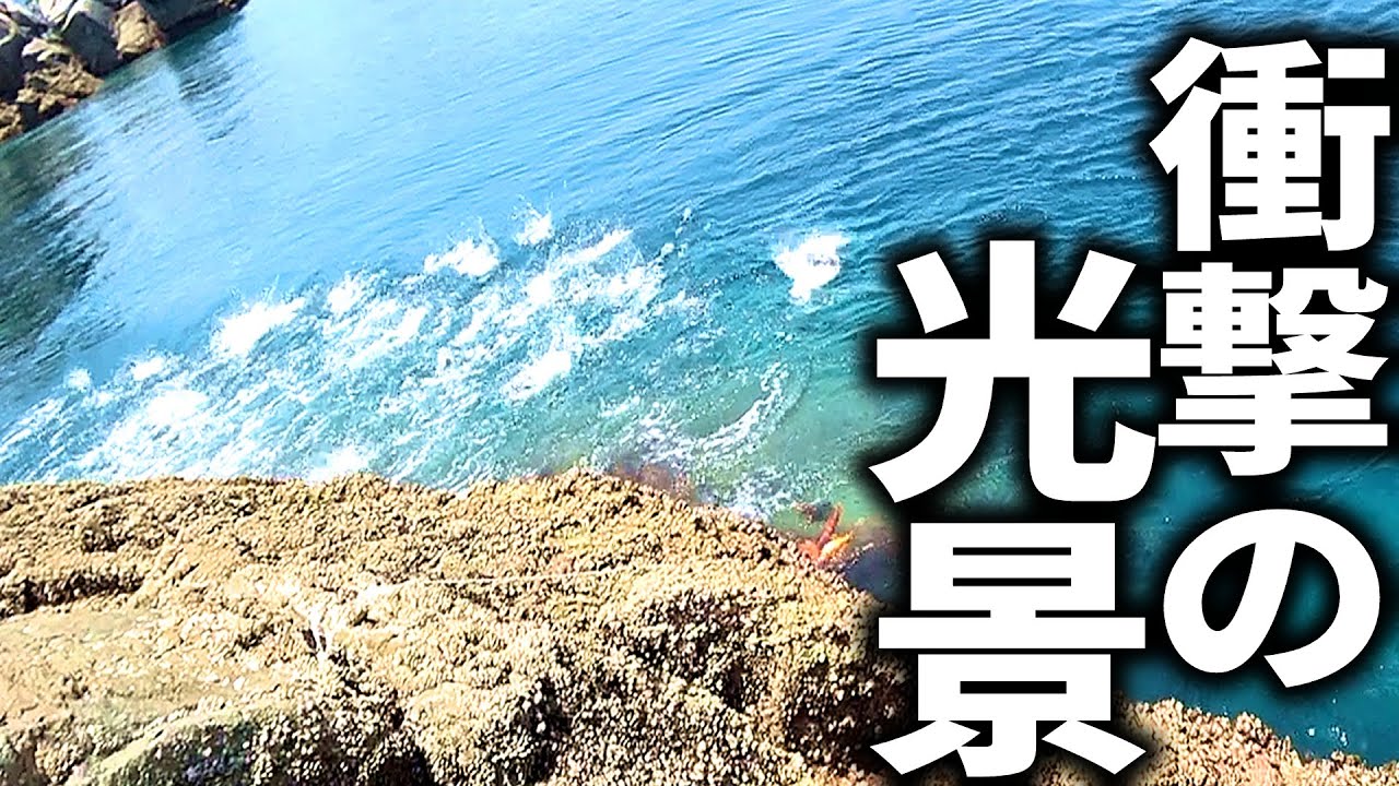 根魚の常識を覆す、驚愕のボイル。南国の海に夢の魚スジアラを追う。