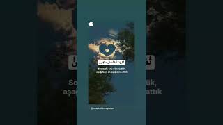 Esfele Safilin Agilarin En Agisi