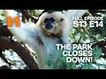 Monkey World SHUTS DOWN? | Monkey Life Season 13 EP 14 | Monkey Life