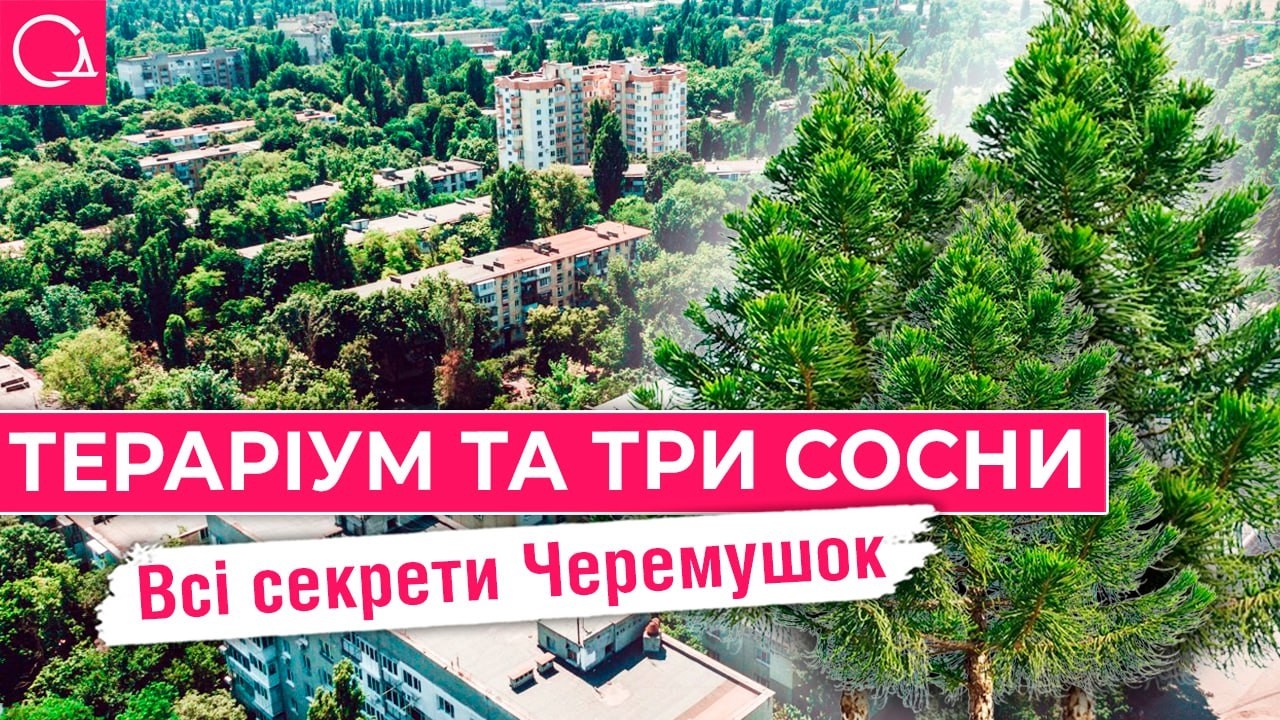 Одесские Черемушки – жизнь на районе от 50-х до настоящего времени