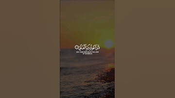 سورة الفلق كاملة...#قرآن #اكسبلور #quran #explore