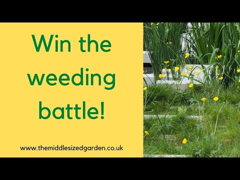 Wideo: Wskazówki dotyczące chwastów w dziczy – jak zrobić ogród chwastów