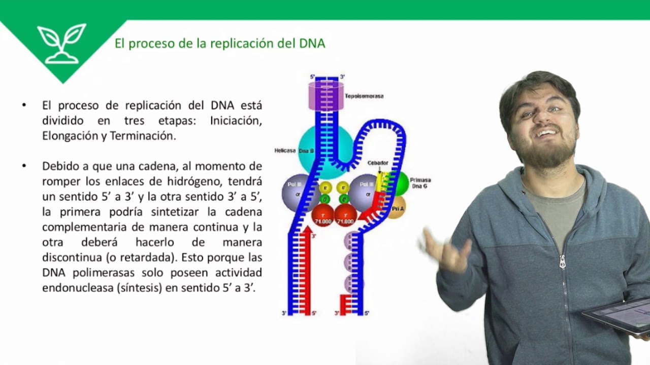 clases online gratis Biología - Mecanismos de Reproducción Celular - Clase N°8 2019