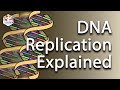 DNA Replication Explained: Step-by-Step Guide with Animations for Students.mp4