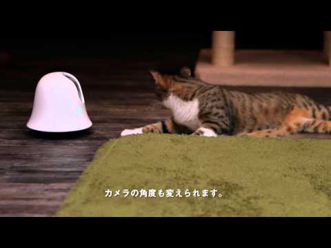 お留守番カメラilbo CM ver3