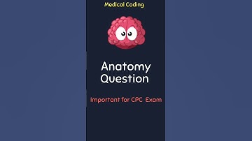 CPC Exam Anatomy frequently asked question. Let