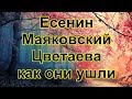 ♠♥♣♦Есенин, Маяковский, Цветаева как они ушли?♠♥♣♦