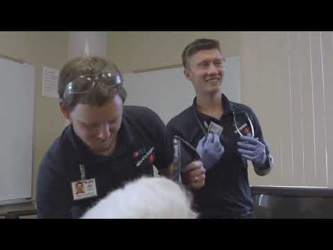 College of the Siskyous | Paramedic