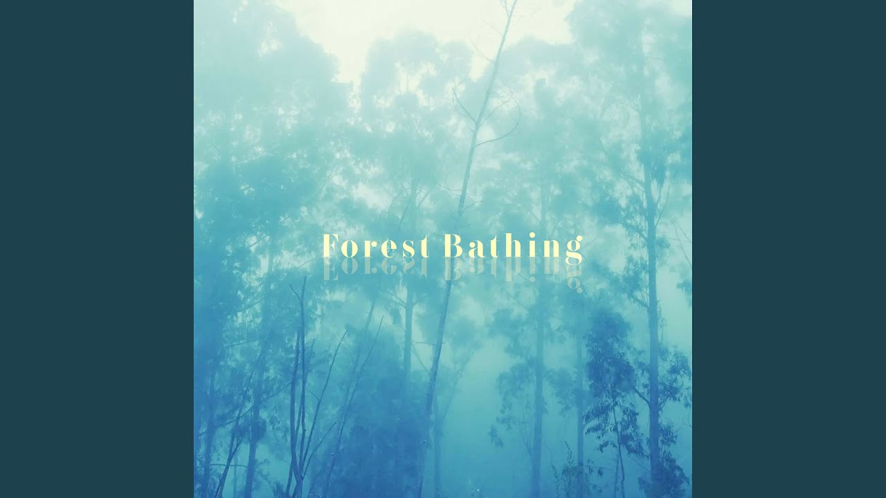 Watch Forest Bathing on YouTube Watch Forest Bathing on YouTube