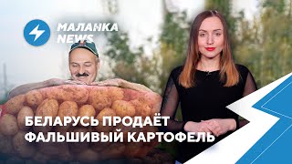 ⚡️Путин не дал денег Лукашенко / Мацкевич прекратил голодовку / Новые штрафы ГАИ для водителей