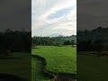 Pemandangan menyejukan #sawah #jalanyangjauhjanganlupapulang