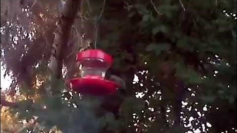 June 10, 2014 7:02 PM