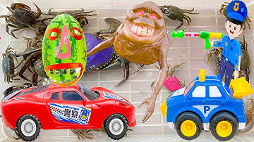 Kem Ốc Chanel nhờ cảnh sát bắt quái vật, quái vật dưa hấu húc con cua, con vịt, ốc sên, con mèo, cá.