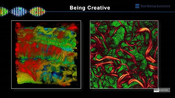 Jamie Hayden - 2-Photon Microscopy: How Deep Can You Go? part 2