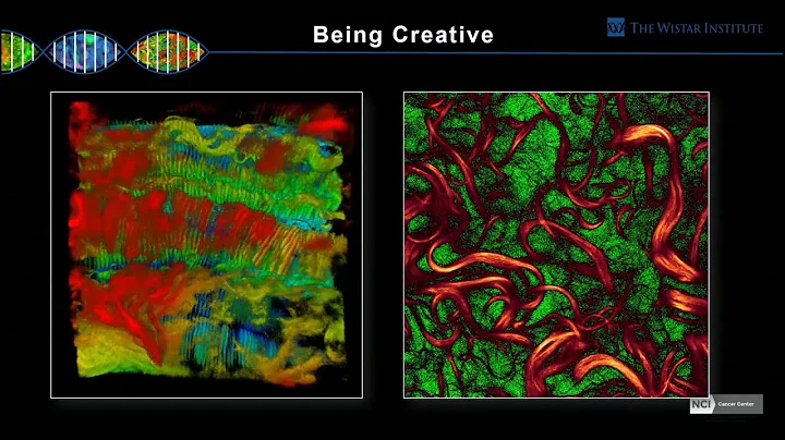 Jamie Hayden - 2-Photon Microscopy: How Deep Can Y...