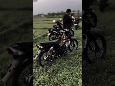 Kumpulan cinematic Tiger Herex trondol seleb Tiktok viral terbaru 2023