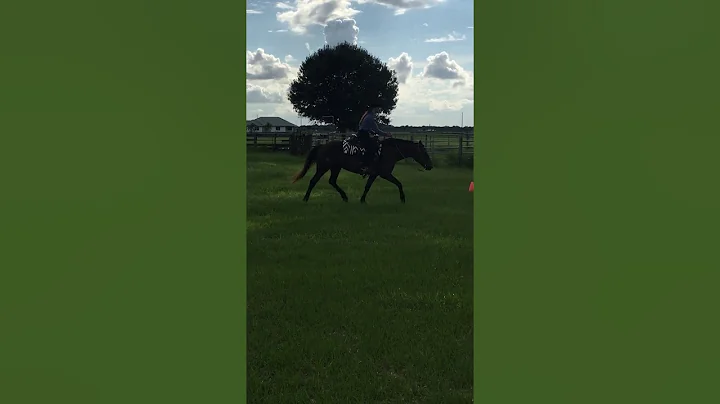 Tatum Youth Ranch Rail Riding Callie