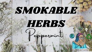 How To Smoke Peppermint Taste & Feel || A Beginners Guide To Smokable Herbs || Smoking Peppermint