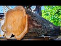 Seeing the Beauty of Ancient Teak Wood at the sawmill