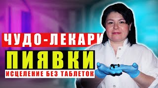 Гирудотерапия: древнее искусство исцеления I PRO Массаж