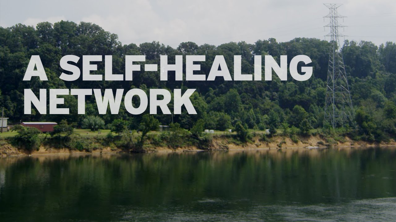 A Self Healing Network Youtube
