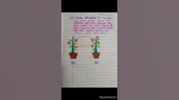 what is pollination | types of pollination | pollination and types