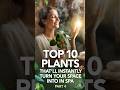 Top 10 Plants That'll Instantly Turn Your Space Into a Spa Part 4 🍃🔥✨🌱 #viral #shorts