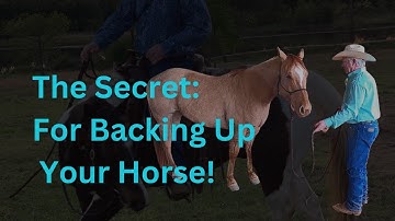 For Beginners: How To Easily Teach Your Horse to Back Up Like a Pro.