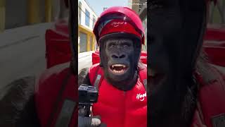 Creo que se ha caído  #ai #fypシ #divertido #humor #viral