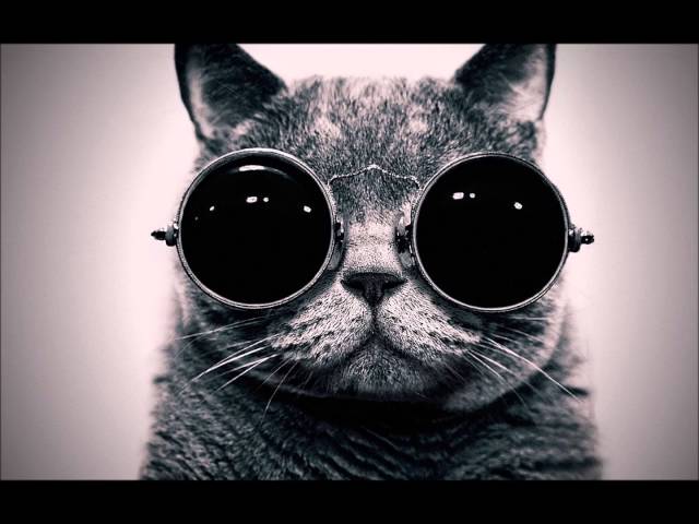 [Glitch Hop] Dominic Glover, Gary Crockett, Jay Glover - Golden Swagger (MKon Remix)