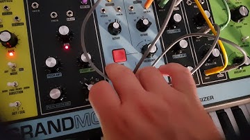 Rhythmic Patch on the Moog Grandmother
