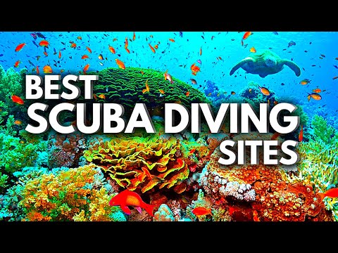 Video: Scuba Diving Sites i Centralamerika