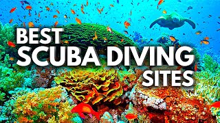 10 BEST Scuba Diving CARIBBEAN Destinations 2023 | Traveling Guide by The Travelers Post 26,066 views 2 years ago 8 minutes, 40 seconds
