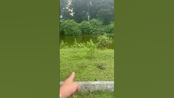 Đất FPT Hòa Lạc: Vị trí vàng, Sổ đỏ ngay, Giá tốt!|Hoàng Hường