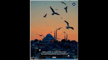 ﴿يا أَيُّهَا الَّذينَ آمَنوا توبوا إِلَى اللَّهِ تَوبَةً نَصوحًا﴾  تلاوة خاشعة بصوت القارئ فارس عباد