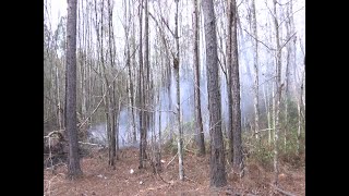 Famous Berkeley County officials investigating over 100 fires believed to be arson Net Worth