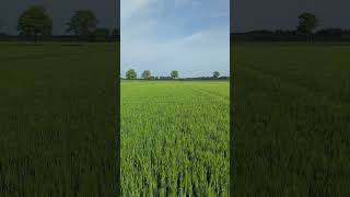 #djimini5pro #drone #germany