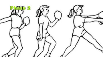 The Biomechanics of a Softball Pitch