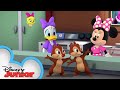 Minnie Muffin Mayhem | Chip 'N Dale's Nutty Tales | Disney Junior