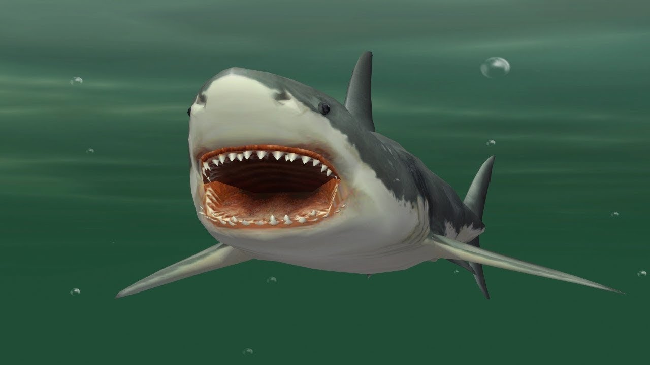 Jaws Unleashed (World Record) 