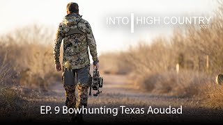 Bowhunting Texas Aoudad
