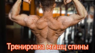 Эффективная тренировка мышц спины