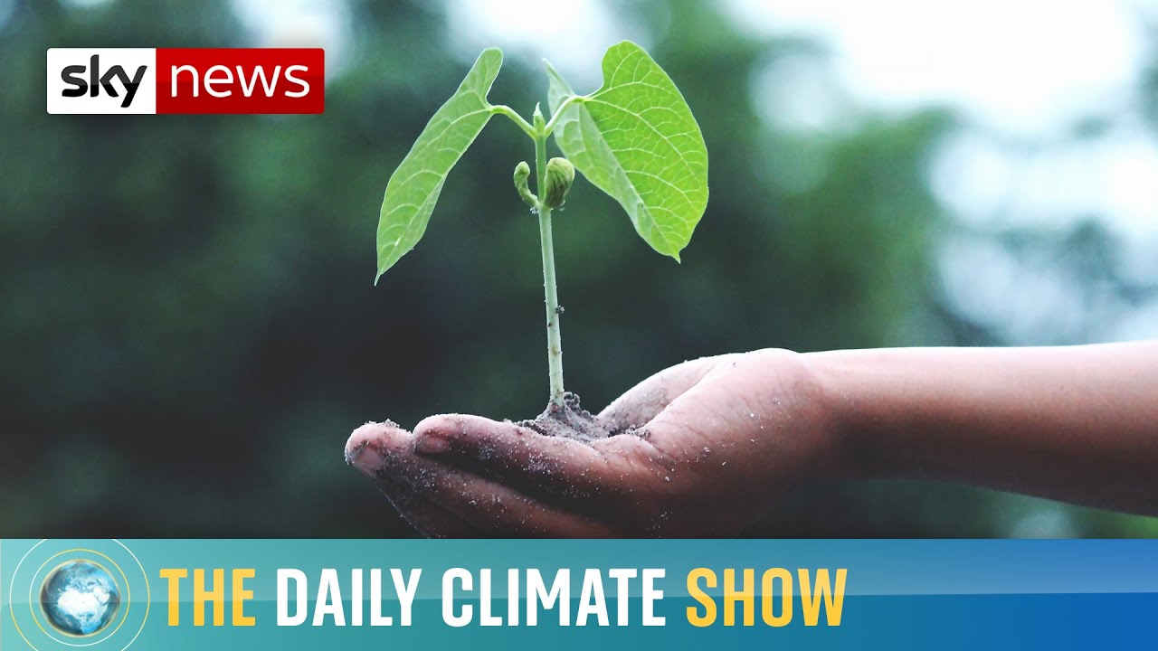 The young people taking countries to court over climate change