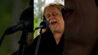 🌟 &#39;Soulshine&#39; – a melody that warms the soul! #warrenhaynes #theallmanbrothersband